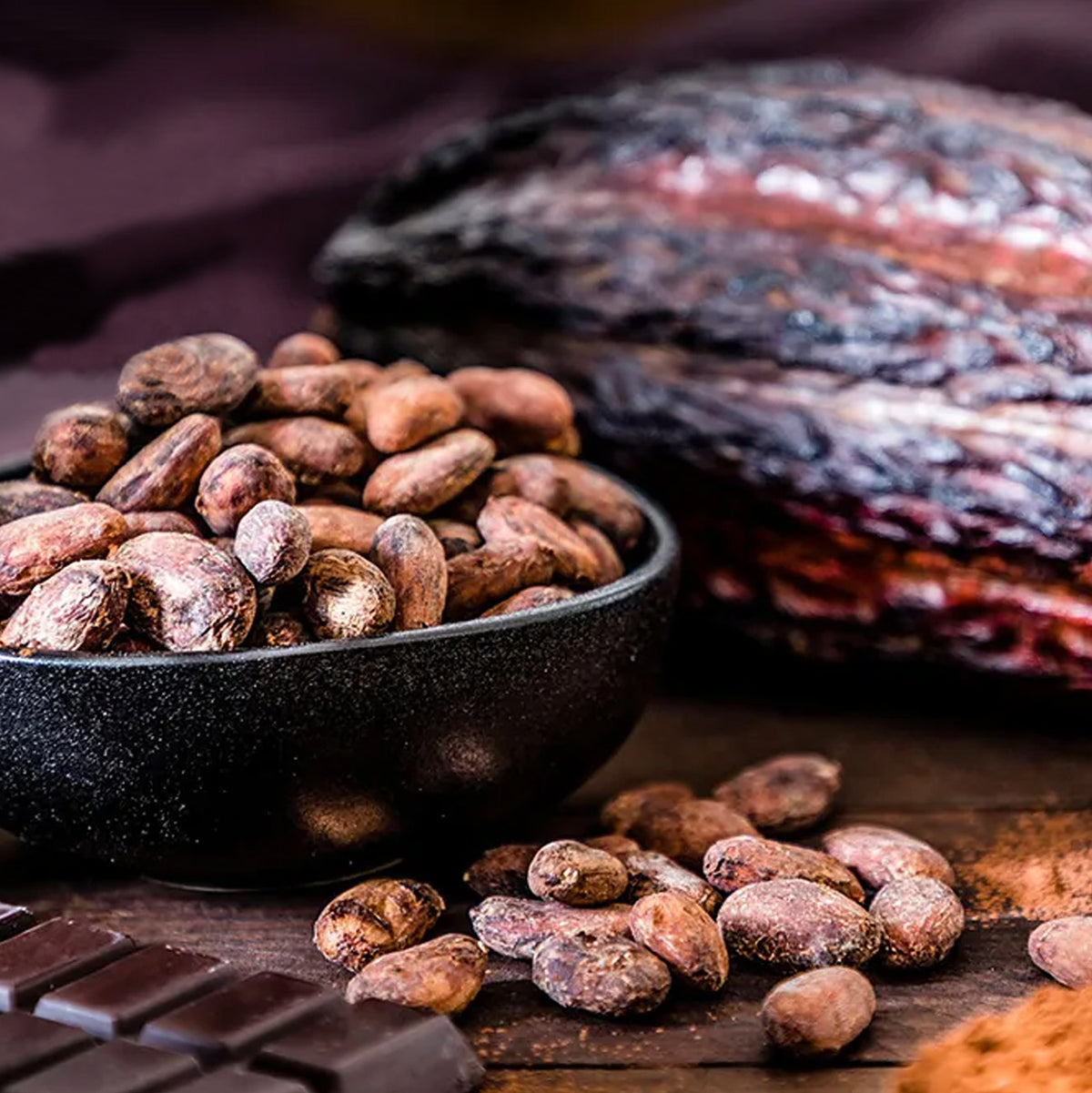 Cacao beans and dark chocolate used in Green Sun organic chocolate snacks