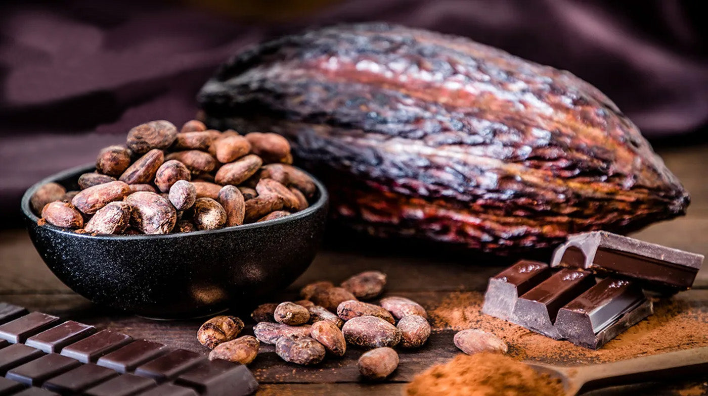 Peruvian cacao beans and dark chocolate used in Green Sun healthy snack products