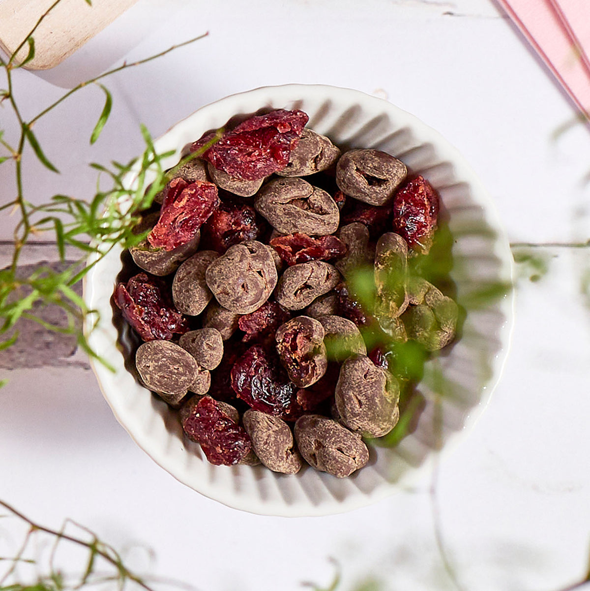 Bowl of dark chocolate covered cranberries from Green Sun
