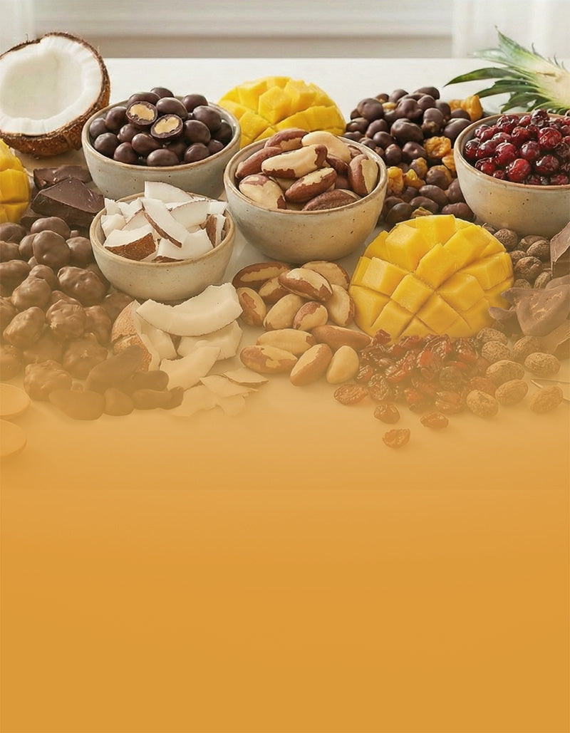 Ingredients used in Green Sun dark chocolate snacks including mango, coconut, Brazil nuts, pineapple, goldenberries, cranberries and cacao.